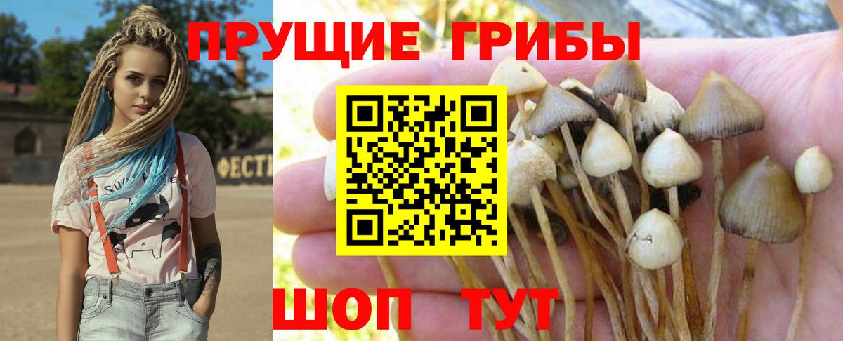 Астрахань  Псилоцибиновые грибы мицелий  Вход с VPN 