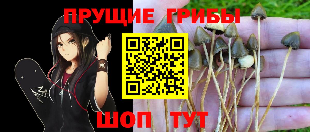 Галлюциногенные грибы Magic Shrooms Астрахань